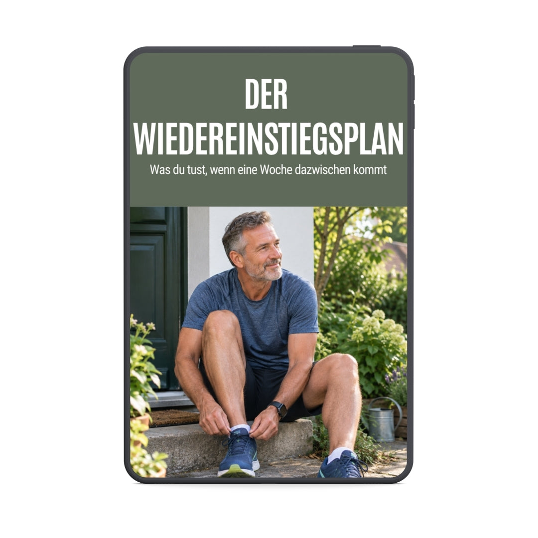 Der Wiedereinstiegsplan (PDF)