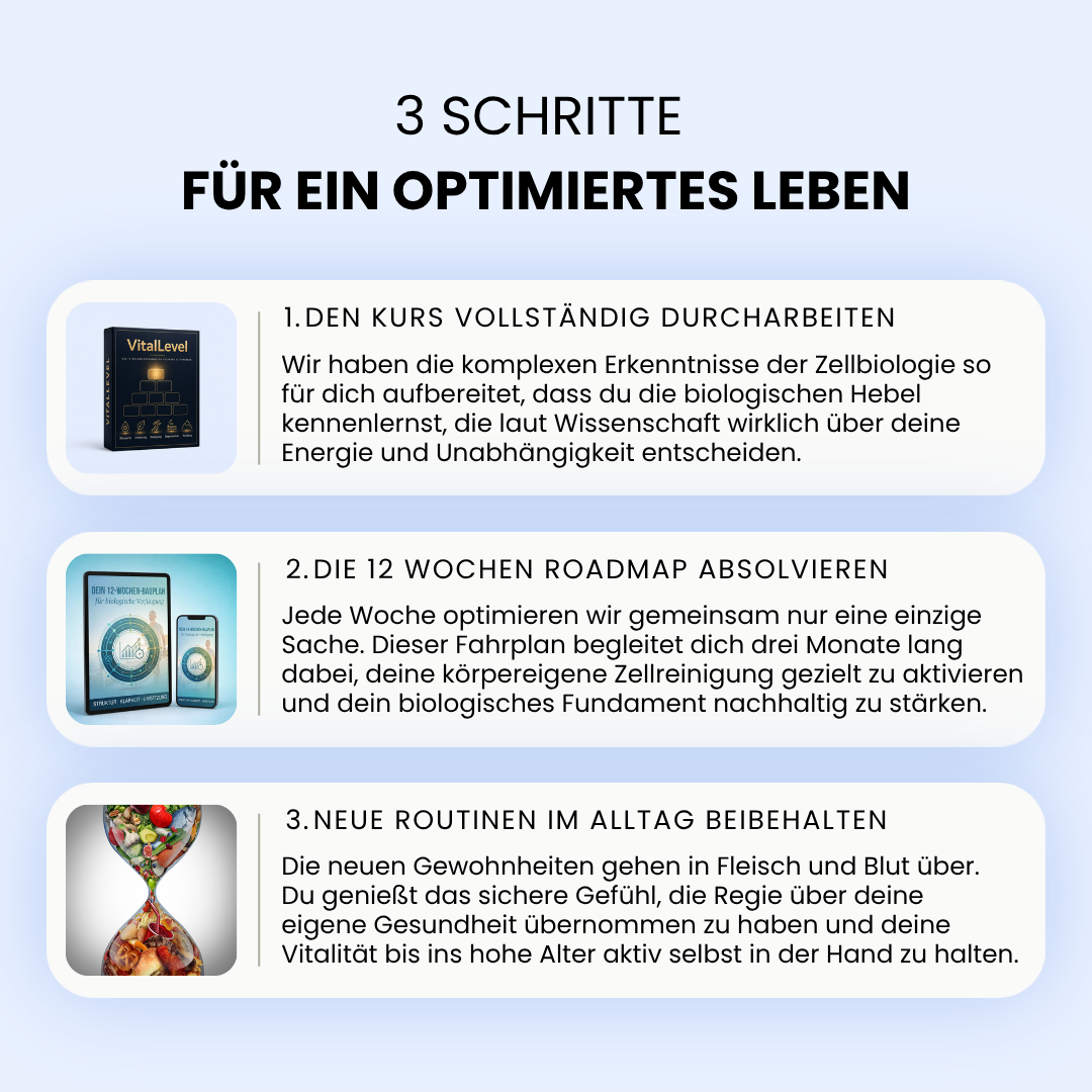 Infografik 3 Schritte für ein optimiertes Leben. Schritt 1: Den Kurs vollständig durcharbeiten, um komplexe zellbiologische Hebel für Energie und Unabhängigkeit kennenzulernen. Schritt 2: Die 12 Wochen Roadmap absolvieren zur gezielten Aktivierung der körpereigenen Zellreinigung über drei Monate. Schritt 3: Neue Routinen im Alltag beibehalten für nachhaltige Vitalität bis ins hohe Alter. Die Schritte sind illustriert mit der Produktbox, dem 12 Wochen Bauplan und einer Sanduhr in Form einer DNA Helix.