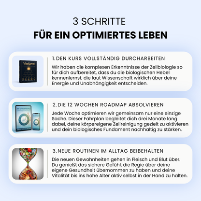 Infografik 3 Schritte für ein optimiertes Leben. Schritt 1: Den Kurs vollständig durcharbeiten, um komplexe zellbiologische Hebel für Energie und Unabhängigkeit kennenzulernen. Schritt 2: Die 12 Wochen Roadmap absolvieren zur gezielten Aktivierung der körpereigenen Zellreinigung über drei Monate. Schritt 3: Neue Routinen im Alltag beibehalten für nachhaltige Vitalität bis ins hohe Alter. Die Schritte sind illustriert mit der Produktbox, dem 12 Wochen Bauplan und einer Sanduhr in Form einer DNA Helix.