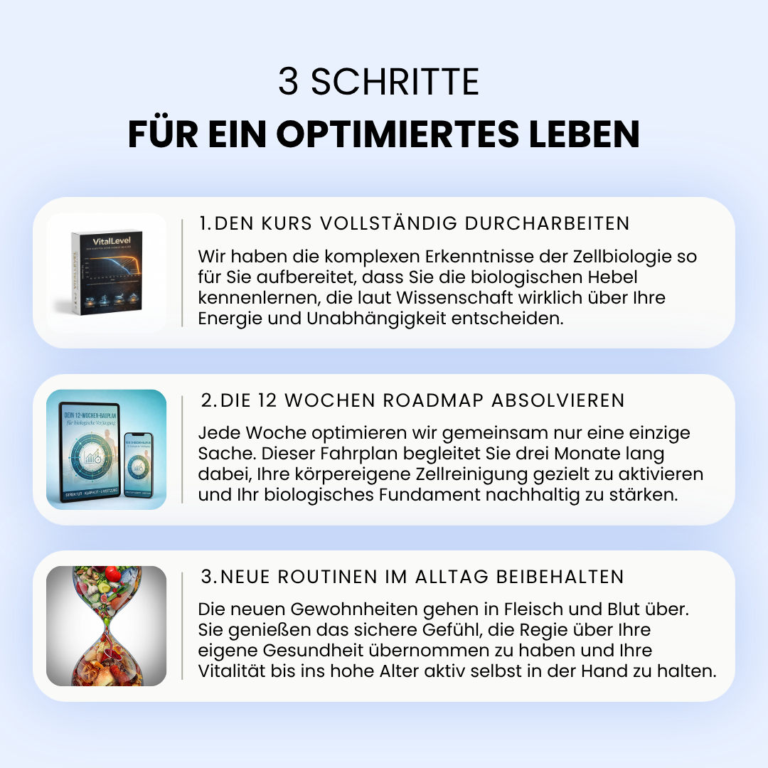 Infografik 3 Schritte für ein optimiertes Leben. Schritt 1: Den Kurs vollständig durcharbeiten, um komplexe zellbiologische Hebel für Energie und Unabhängigkeit kennenzulernen. Schritt 2: Die 12 Wochen Roadmap absolvieren zur gezielten Aktivierung der körpereigenen Zellreinigung über drei Monate. Schritt 3: Neue Routinen im Alltag beibehalten für nachhaltige Vitalität bis ins hohe Alter. Die Schritte sind illustriert mit der Produktbox, dem 12 Wochen Bauplan und einer Sanduhr in Form einer DNA Helix.