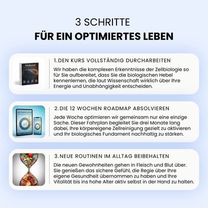 Infografik 3 Schritte für ein optimiertes Leben. Schritt 1: Den Kurs vollständig durcharbeiten, um komplexe zellbiologische Hebel für Energie und Unabhängigkeit kennenzulernen. Schritt 2: Die 12 Wochen Roadmap absolvieren zur gezielten Aktivierung der körpereigenen Zellreinigung über drei Monate. Schritt 3: Neue Routinen im Alltag beibehalten für nachhaltige Vitalität bis ins hohe Alter. Die Schritte sind illustriert mit der Produktbox, dem 12 Wochen Bauplan und einer Sanduhr in Form einer DNA Helix.