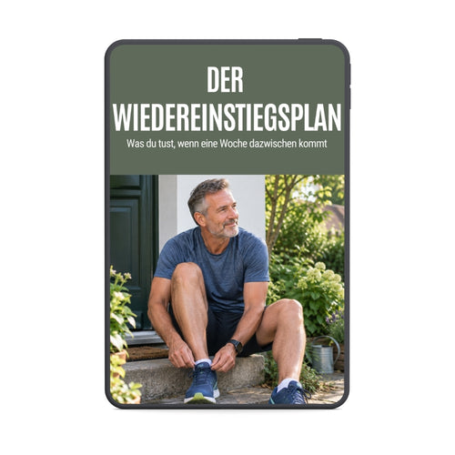 Der Wiedereinstiegsplan (PDF)